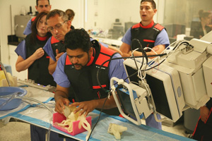 3d printed vascular models