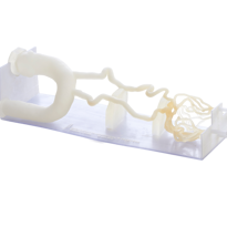 neuro vascular DAP 3d Print